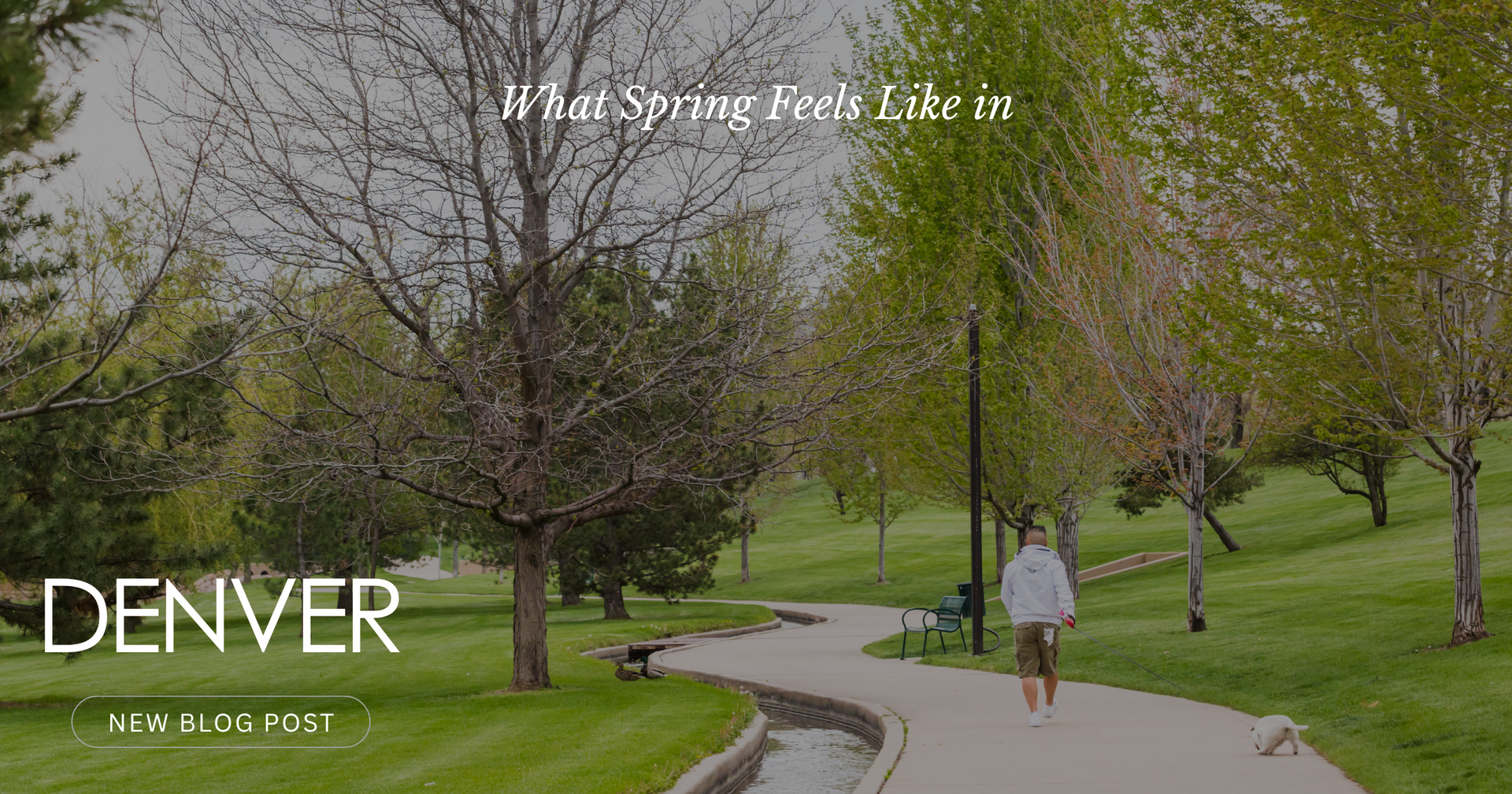 Springtime Denver What Spring Feels Like in DENVER